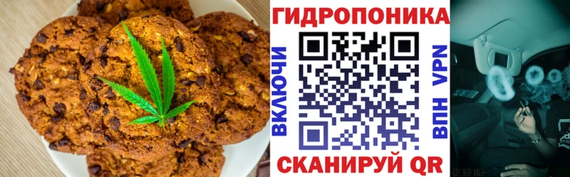 Canna-Cookies марихуана  хочу   Пойковский 