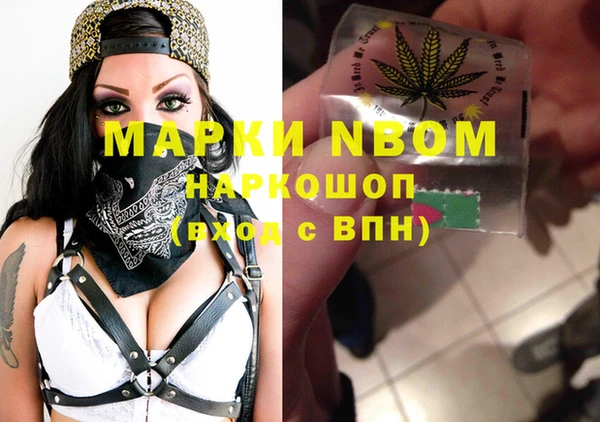 шишки Алзамай