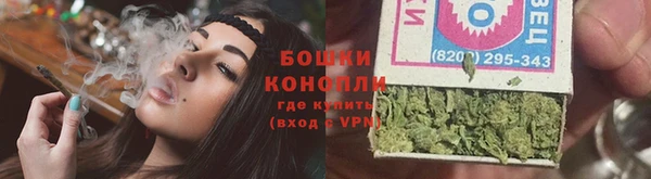 шишки Алзамай