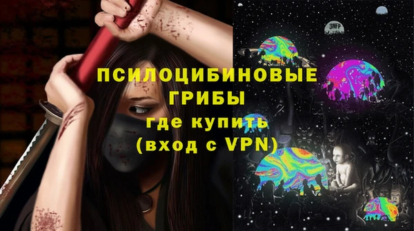 шишки Алзамай