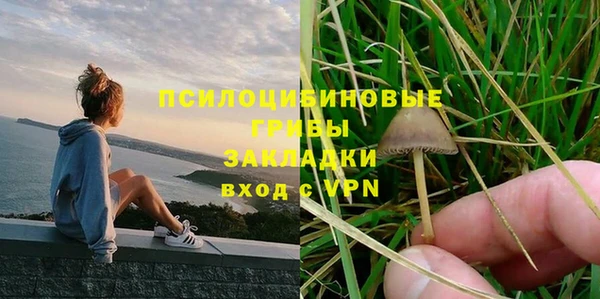 ПСИЛОЦИБИНОВЫЕ ГРИБЫ Абинск