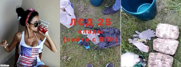 ПСИЛОЦИБИНОВЫЕ ГРИБЫ Абинск