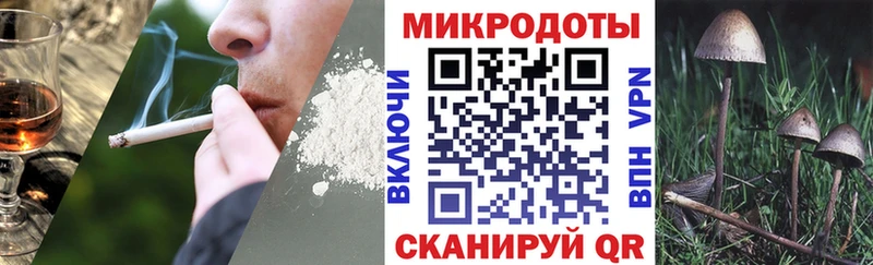 купить наркотики цена  Пойковский  Галлюциногенные грибы Psilocybine cubensis 